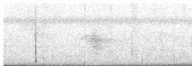 hvitskjeggmanakin - ML617900120