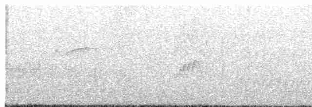 Grauband-Ameisenvogel - ML617900181