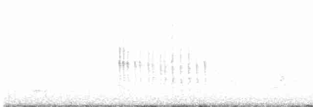 Опоясанный зимородок - ML617900184