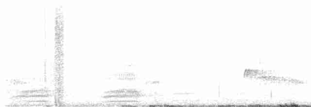 Cuervo Grande - ML617900402