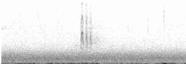strakapoud bělohlavý - ML617900599