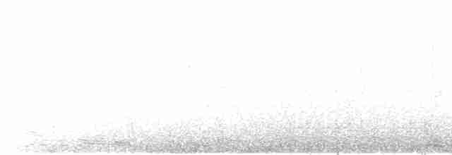 Каньонный крапивник - ML617900676