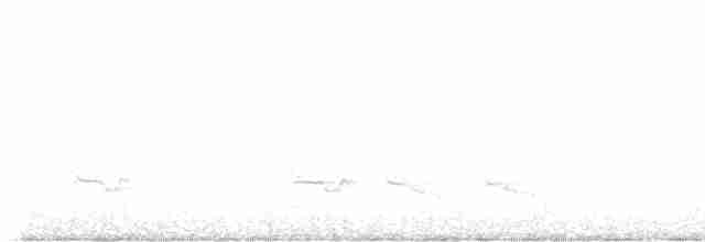 Каролинский крапивник - ML617900691