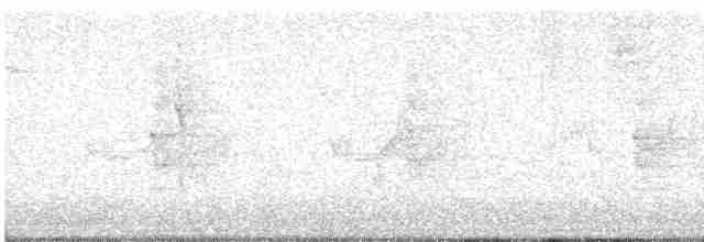 Малая вильсония - ML617900927