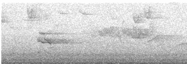 Тихоокеанский крапивник - ML617905812