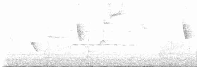 vlhovec lesklý (ssp. versicolor) - ML617906493