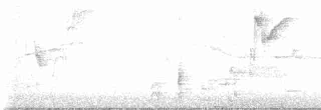 vlhovec lesklý (ssp. versicolor) - ML617906494