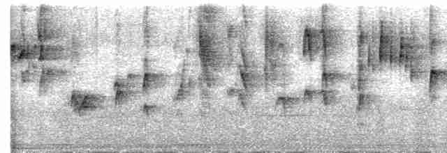 brunvarsler (lucionensis) - ML617907061
