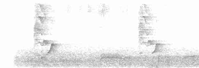 Длинноклювая нектарница - ML617907414