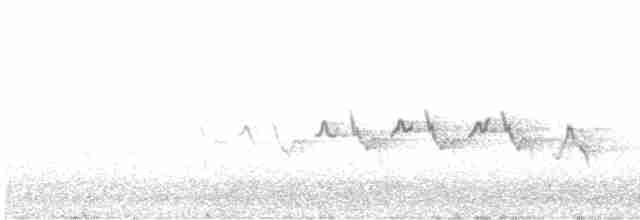Белокрылая канделита - ML617909619