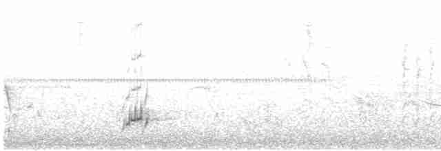 Brown-crested Flycatcher - ML617909795
