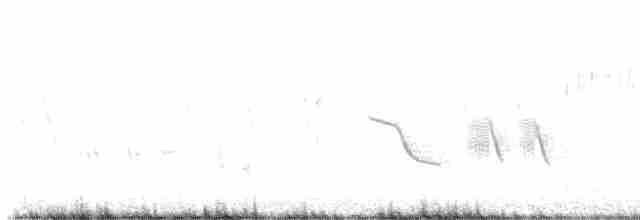 Green-tailed Towhee - ML617910364