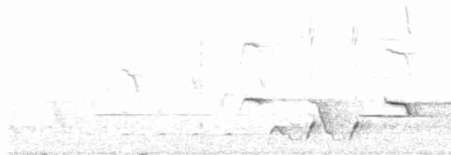 Серогрудый питуи - ML617910973