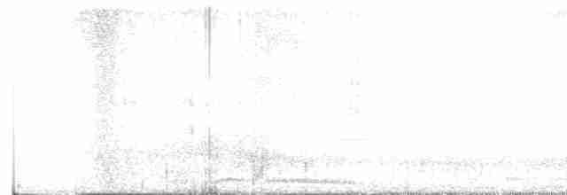 hrdlička kropenatá - ML617912371