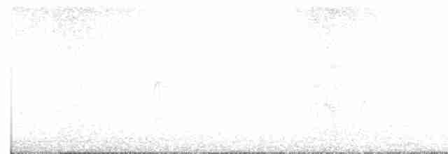 strakapoud šedočelý - ML617912435