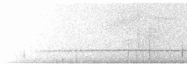 Белогорлая птица-бич - ML617912548