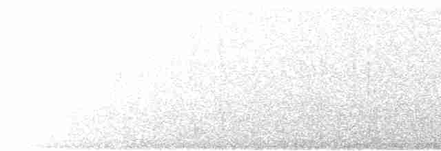 Russet-tailed Thrush - ML617912555