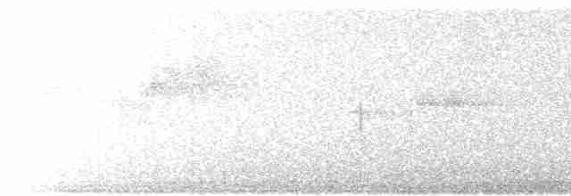 Russet-tailed Thrush - ML617912556