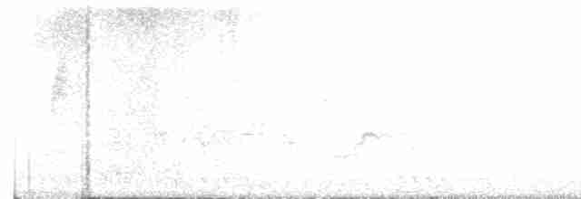 Swinhoe's White-eye - ML617913137