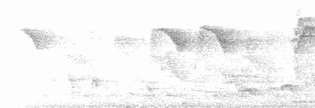 Пятнистогрудая тимелия-говорушка - ML617913993