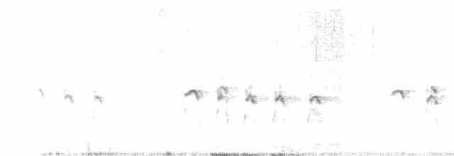Bec-d'ibis tibétain - ML617914249