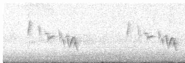 アオハウチワドリ（flaviventris グループ） - ML617914378