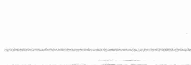 Австралийская иглоногая сова - ML617914423