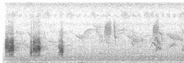 Clamorous Reed Warbler - ML617914494