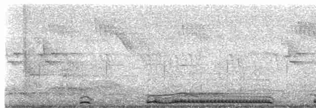 hrdlička kropenatá - ML617914497