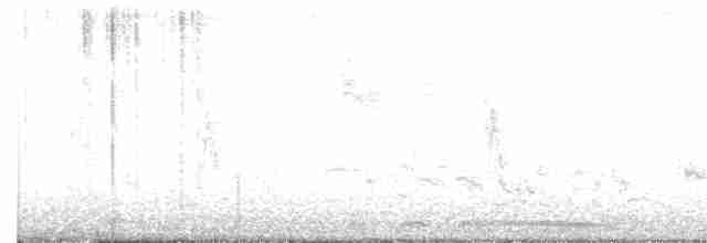 hrdlička kropenatá - ML617915139