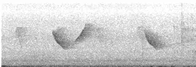 Коричневогорлая нектарница - ML617915419