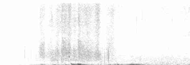 Chihuahuan Meadowlark - ML617916177