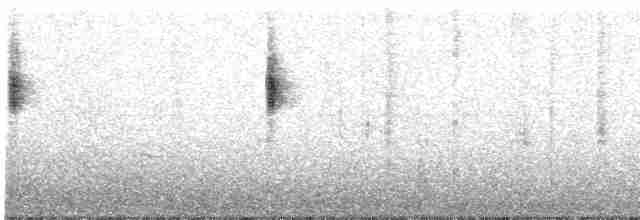 Arctic Warbler - ML617916958
