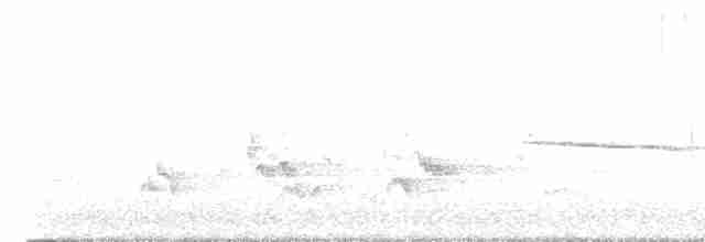 Белогорлая зонотрихия - ML617918139