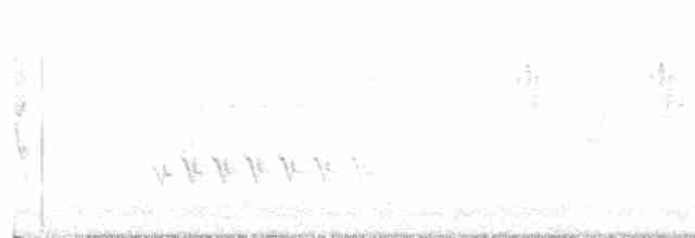 Sinsonte Norteño - ML617920053