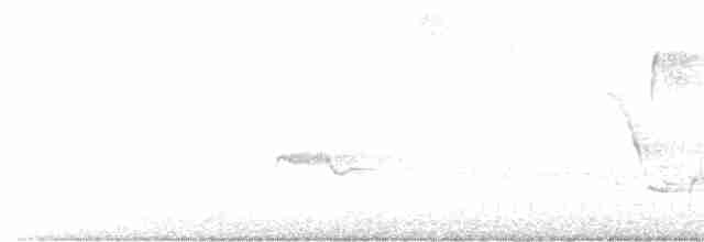 ויראו צהוב-גרון - ML617920074