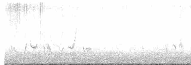 Rotspottdrossel - ML617921274
