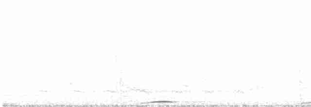 Момот іржасточеревий - ML617921791