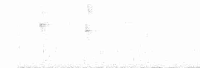 Ерміт-серподзьоб темнохвостий - ML617921865