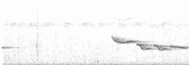 Troglodyte à poitrine blanche - ML617922043