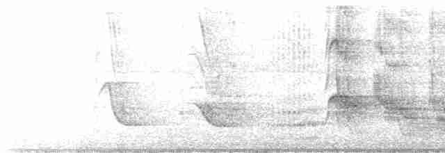 White-throated Kingfisher - ML617922523