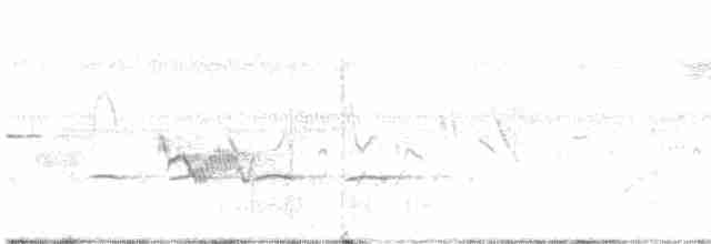 Чернохохлая гренадерка - ML617922645
