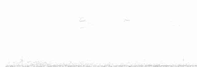Kara Kuyruklu Bitkuşu - ML617923067
