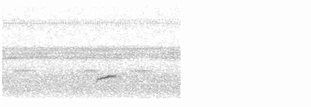 Дрізд-короткодзьоб Cвенсона - ML617923175