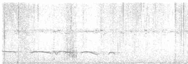 Лінивка-смугохвіст плямистобока - ML617923825
