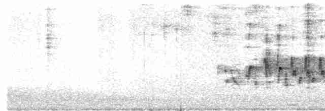 白喉林鶯 - ML617924384
