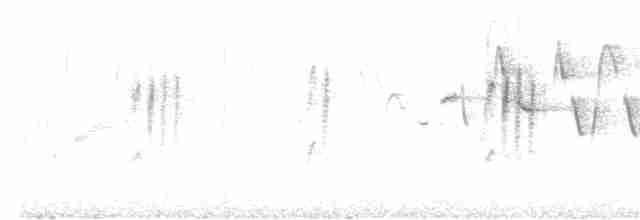 Eurasian Wren - ML617924634