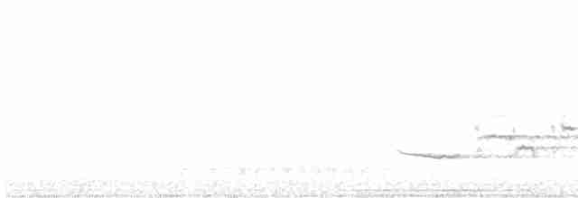 Дрізд-короткодзьоб плямистоволий - ML617924731