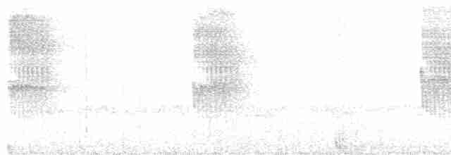 Мурав’янка-куцохвіст плямиста - ML617924936