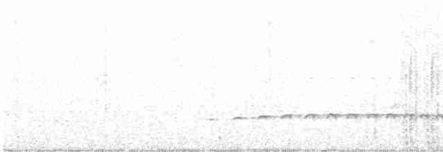 Батарито перлистоголовий - ML617925038